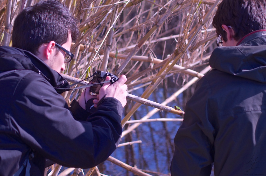 VOLONTANFIBI 2014: Parco Regionale MSRM